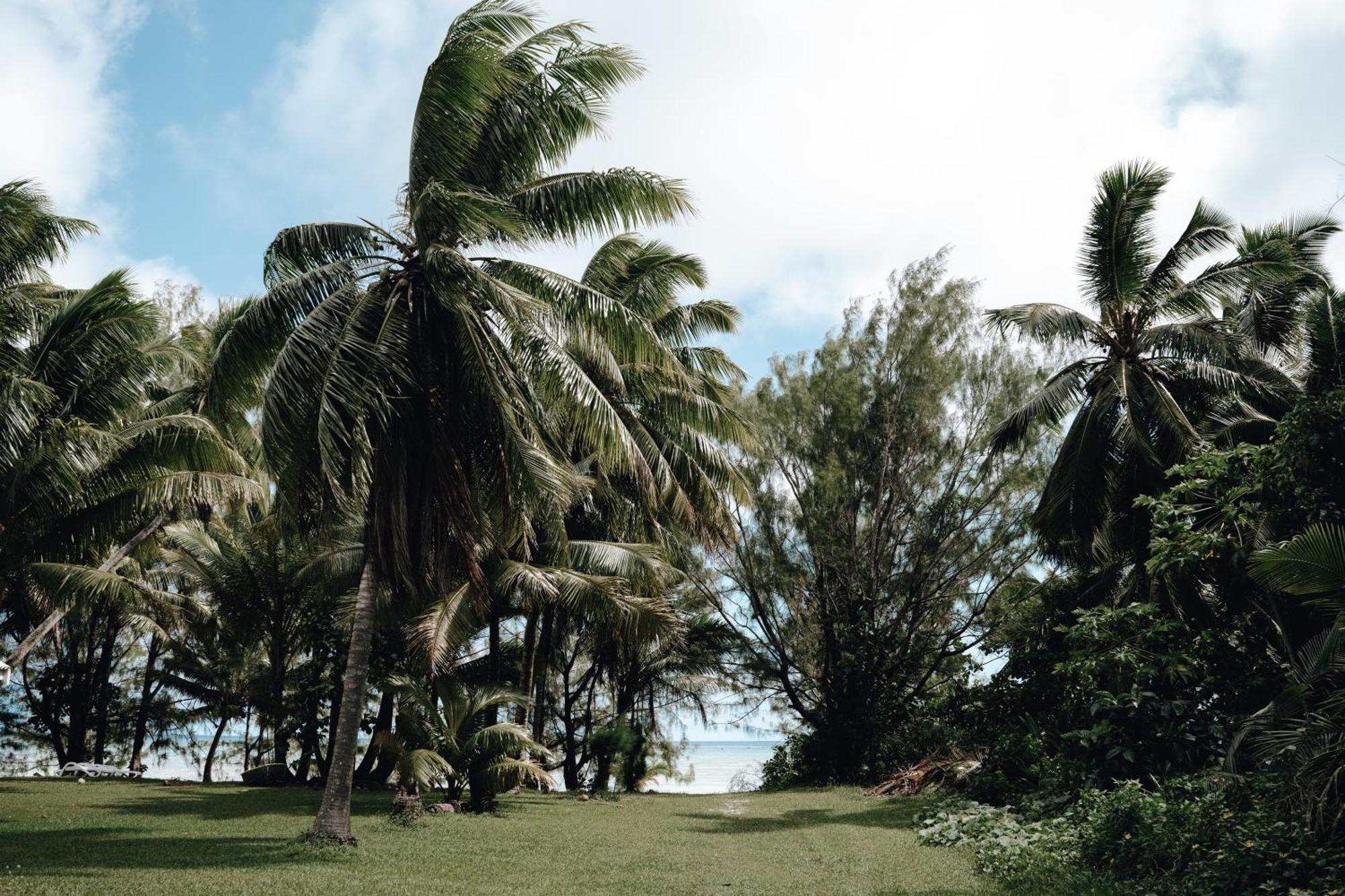 Tai'Inu Bungalows Amuri ภายนอก รูปภาพ
